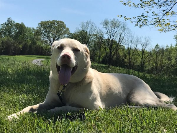 About Us – Little Otter Flower Farm